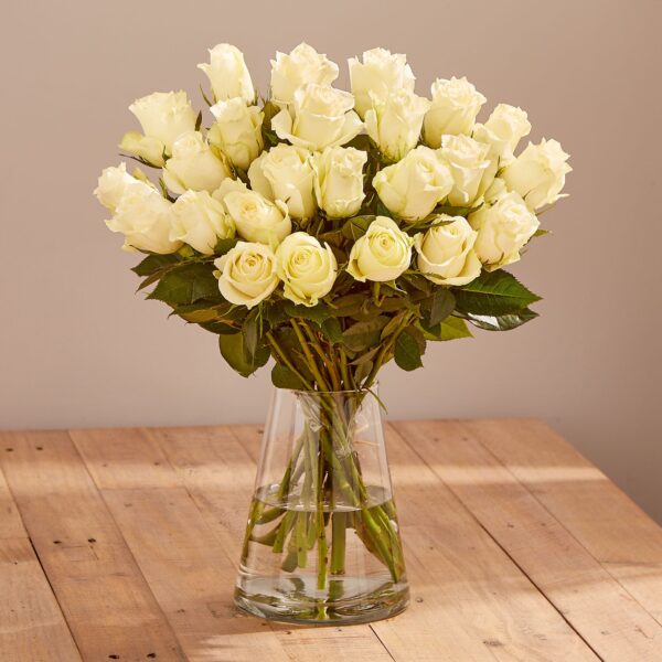 24 Fairtrade White Roses