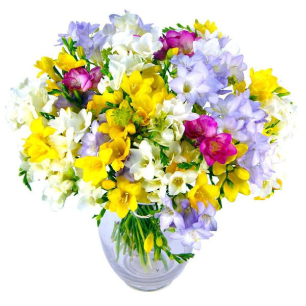 Freesia Fragrance